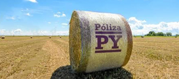 Póliza PY de Solunion