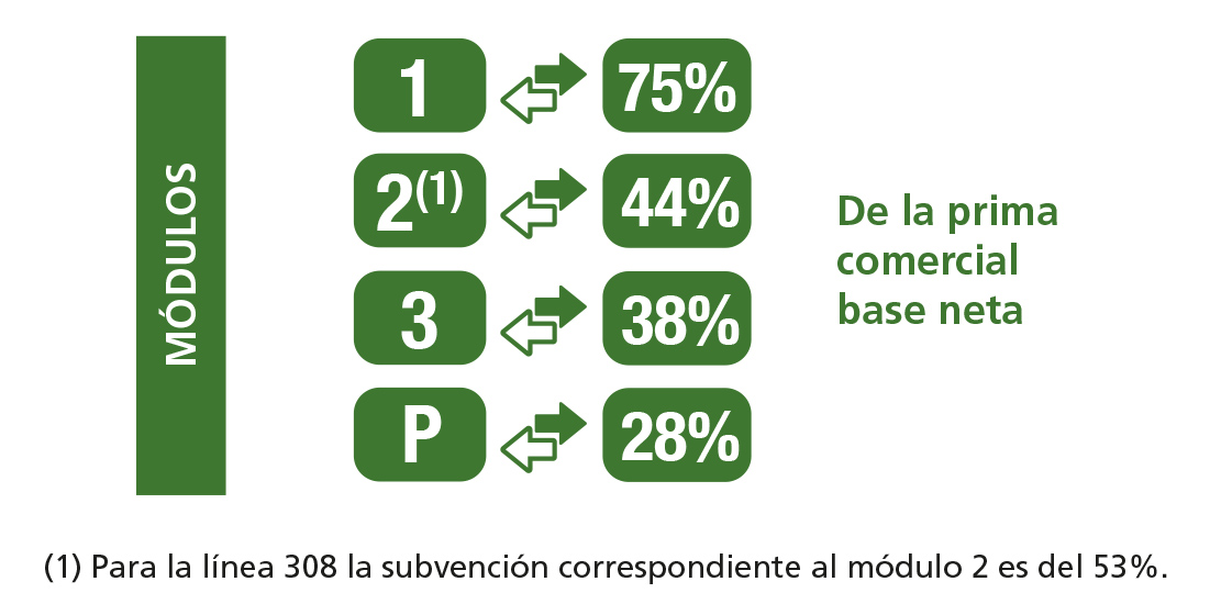 subvencion 2021