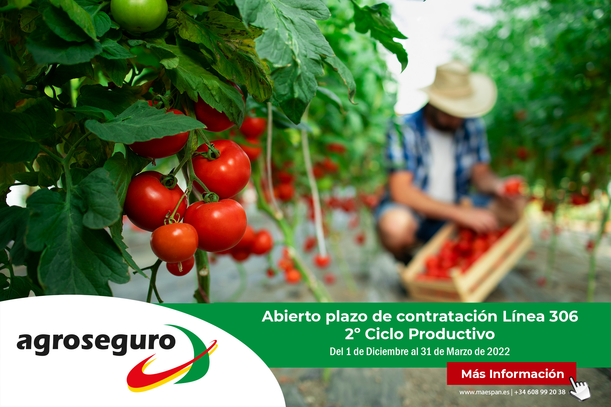 agroseguro_2021_2 ciclo_MAESPAN