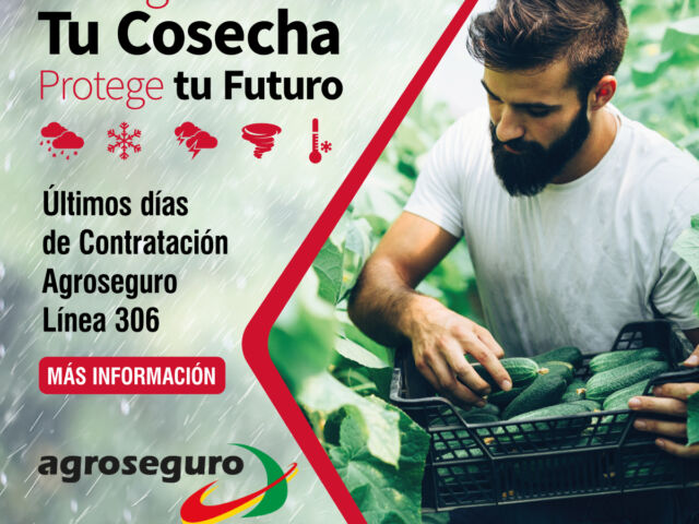 Agroseguro para Invernaderos