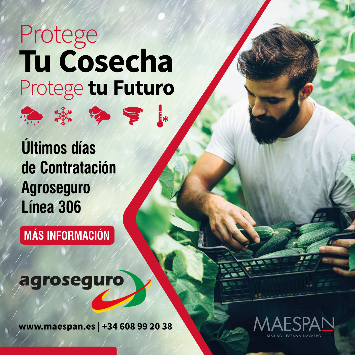 Agroseguro para Invernaderos