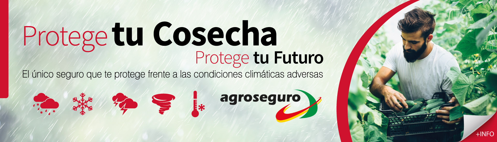 Agroseguro Alméria contrata seguro agrario Almería